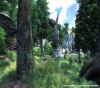 ElderScrollsIVOblivion 35